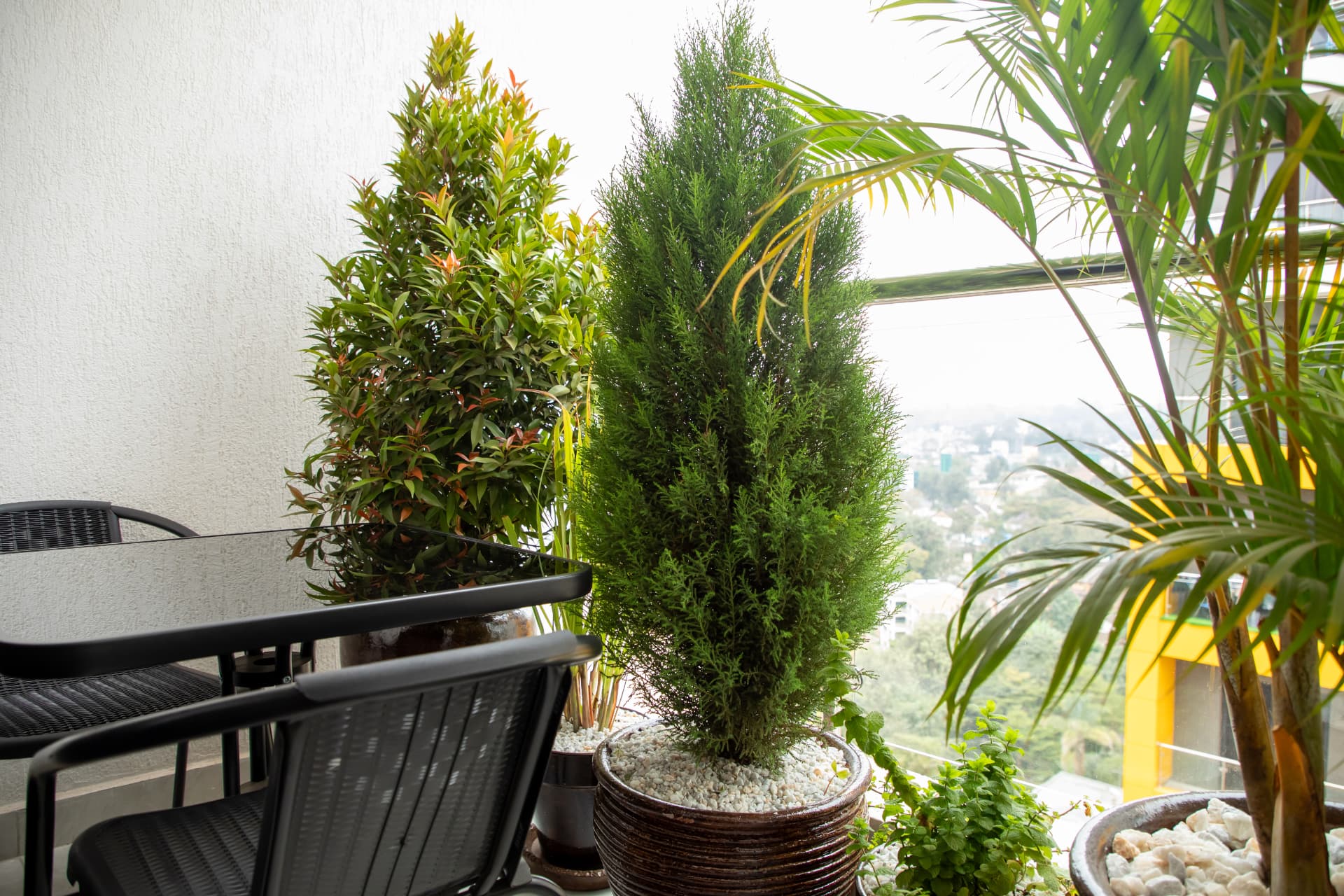 Balcony view with seating and greenery from an Aurevia Homes apartment